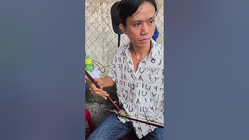 Hướng dẫn Chơi Đàn Từ Kênh Kết nối..#trilamnong