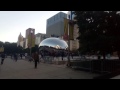 chicago bean
