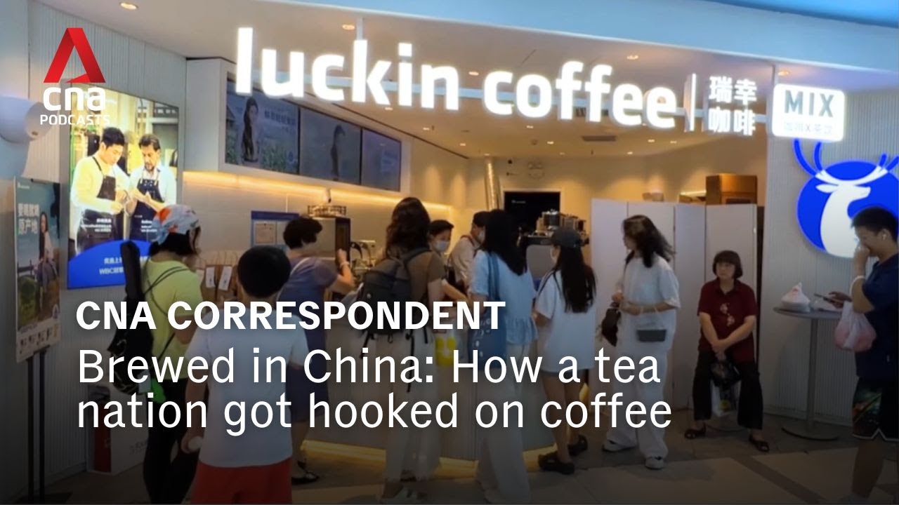 Brewed in China: How a tea nation got hooked on coffee | CNA Correspondent podcast