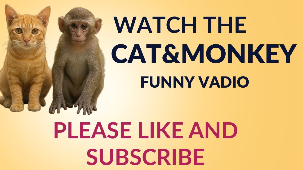 Cat & Monkey Funny Moments 🐱🐵 | Cutest Duo Ever!