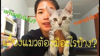[Cat's Story] เริ่มเลี้ยงแมวต้องทำยังไง? ต้องมีอุปกรณ์อะไรบ้าง? || FANGFUU