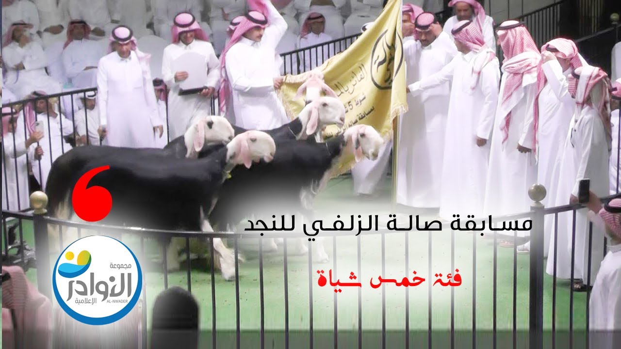 مسابقة صالة الزلفي للنجد عام 1445هجري (6)