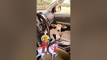 veer tejaji new video 2023 #veer tejaji new status #Tejal song💗🚩🙏 #youtubeshorts