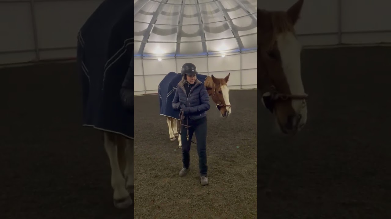 12 Winnien matka tasapainoon 