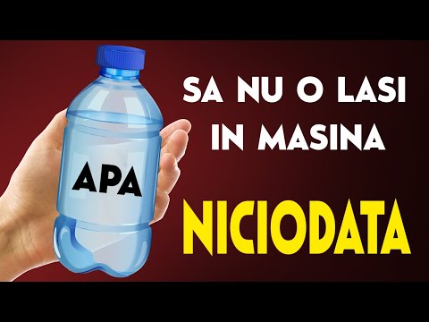 Video: Vă poate ajuta guvernul să obțineți o mașină?