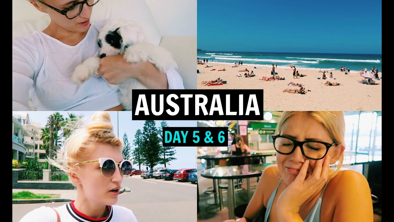 Puppy Sitting & No Ice Cream Left?! | AUSTRALIA DAY 5 & 6 - YouTube