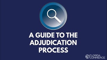 A Guide to the Adjudication Process