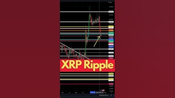 XRP PRICE SUPPORT | RALLY BEGINS! #shorts #xrp #ripple #short #crypto #investors #cryptocurrency