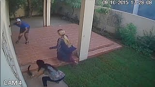 CCTV Footage of 2 Wild Cats Escaping their Owners !!!