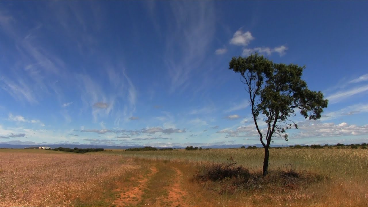 Trailer for "Wayfaring (A Jaunt along the Camino de Santiago)" YouTube