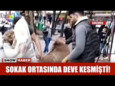 Sokak ortasında deve kesmişti!