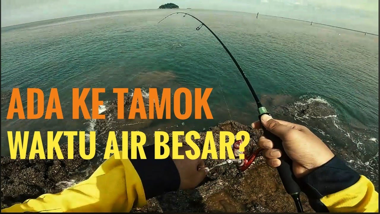 Trip percubaan memancing tamok ketika air besar #Ep.33