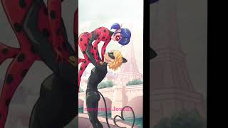 Milaculos Ladybug Catnoir Marinnette Adrien