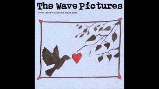 The Wave Pictures - Polar Bear