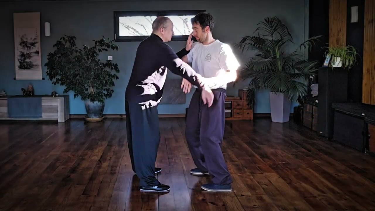 Lishan Taïchi Tuishou 