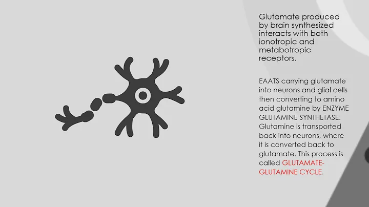 Glutamate - Diane Flores