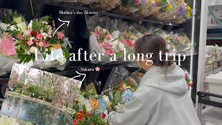 Life after a long vacation 🌿 | Back to everyday routine