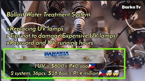 Replacing UV lamp | Ballast water treatment system | Panasia | GloEn-Patrol 2 | makinista marino