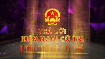 Trả lời ý kiến cử tri ngày 4/1/2021