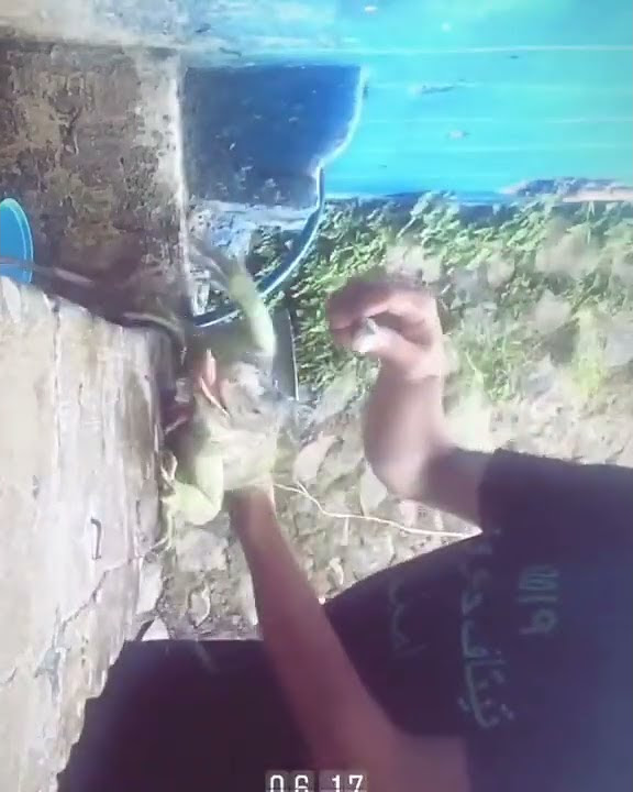 mandi mandi mandi cuci cuci cuci biasakan hidup bersih