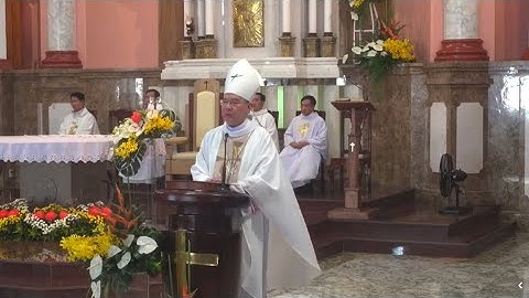 13/5 ĐỨC MẸ FATIMA BÌNH TRIỆU ĐÔNG NGHẸT KHÁCH HÀNH HƯƠNG VỀ DÂNG THÁNH LỄ | GM Giuse Đặng Đức Ngân