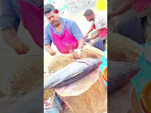 قصة لحم سمك التونة