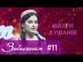 Зебосанам 2019 #11 | Zebosanam 2019 #11