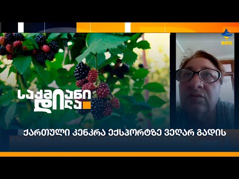 ქართული კენკრა ექსპორტზე ვეღარ გადის