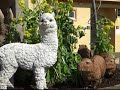 チム・チム・チェリー ギター