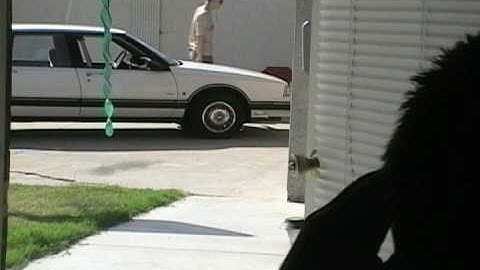 The Briefcase Showdown