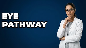 What Is The Efferent Pathway For Accommodation?