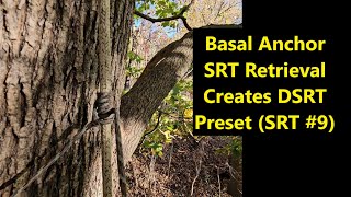 SRT #9: Basal Anchor SRT Creates DSRT Preset