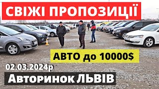 ПІДБІР АВТО ДО 10000$ / ЛЬВІВСЬКИЙ АВТОРИНОК / 02.03.24 р. #автобазар  #автопідбір #авториноконлайн