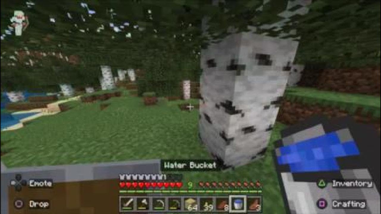 Minecraft Part 3- finishing Diamond