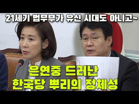 나경원·정용기 입에서 나온 “5공 시대로 돌리려고”, “유신 시대도 아니고”