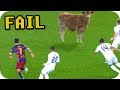 5 ANIMALES QUE INVADIERON CANCHAS DE FUTBOL