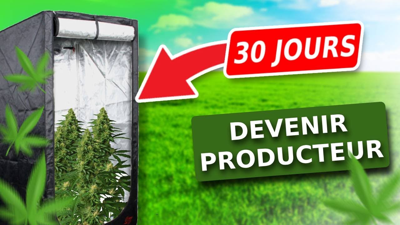 30 JOURS POUR DEVENIR PRODUCTEUR DE CBD 🪴