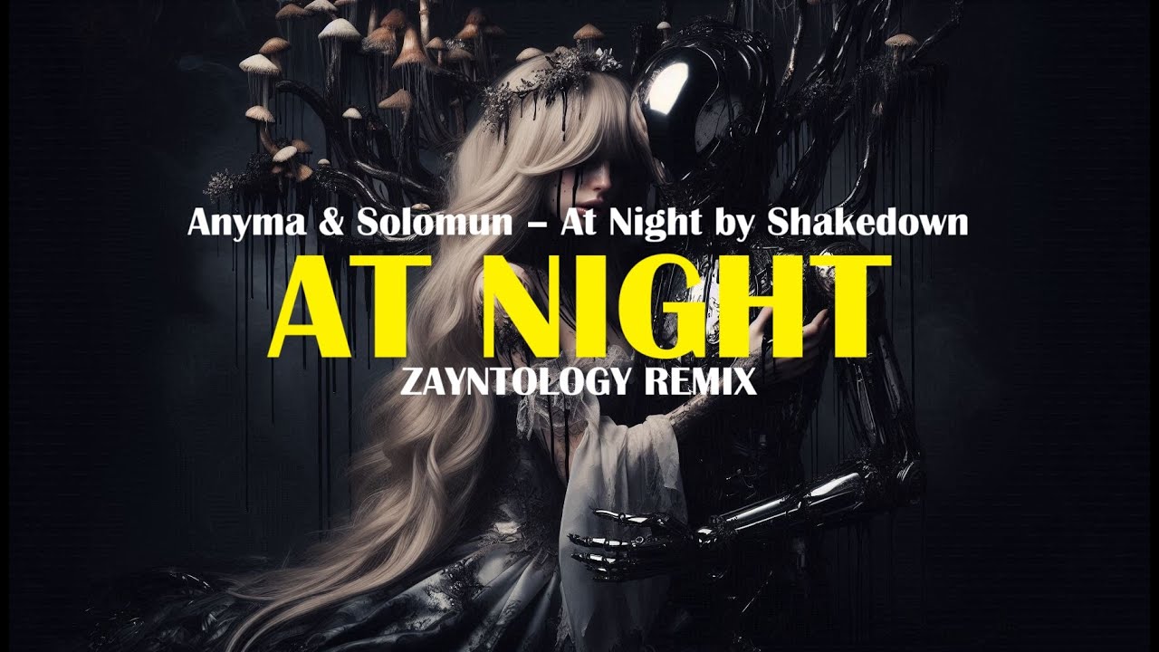 ⁣Anyma & Solomun – At Night by Shakedown (ZAYNTOLOGY Remix) | Deephouse | Melodic Techno | Club M