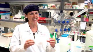 Prof. Shulamit Levenberg - 2018 Established Researcher