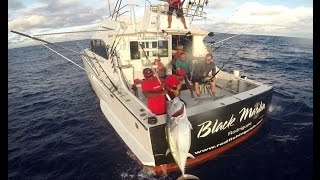 Rodrigues Fishing - Rod Fishing Club - The Doggy Theory Team - Mauritius - Indian Ocean screenshot 5