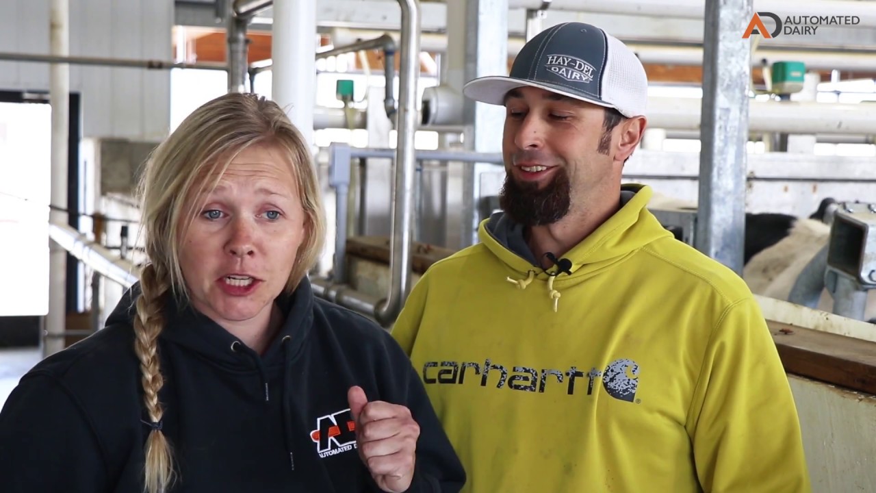 HayDel Dairy Testimonial YouTube