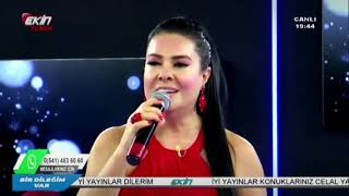 Tövbe Olsun Daha Aramam Seni̇