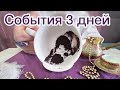 Urgent Events In The Next 3 Days Fortune Telling On Coffee Grounds