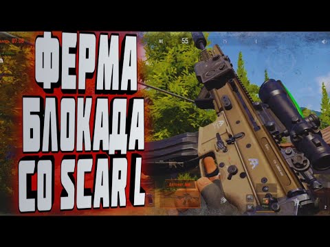 Видео: ARENA BREAKOUT! ФЕРМА БЛОКАДА СО SCAR-L!