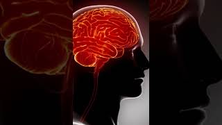 Dementia Awareness Message