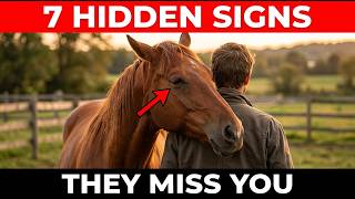 7 Surprising Things Your Horse Does When It Truly Misses You (Number 3 Will Melt Your Heart)
