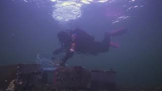 Great Battery Roundup 2021 - Dive 4 - Get the Lead out!