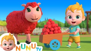 Baa Baa Color Sheep | Colors Song For Kids | Nursery Rhymes & Kids Songs | NuNu Tv