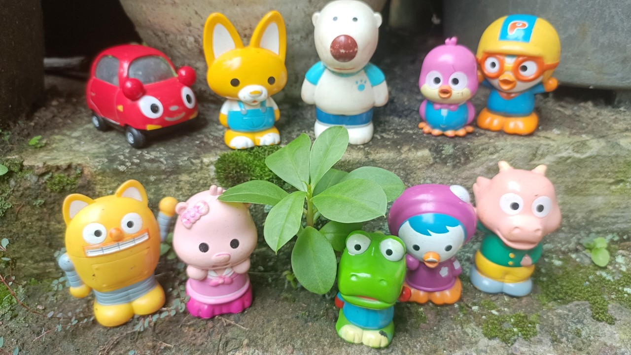 Pororo Bermain Petak Umpet Bareng Rody, Edy, Pony, Harry, Tongtong, Loopy, Patty, Tutu, Crong