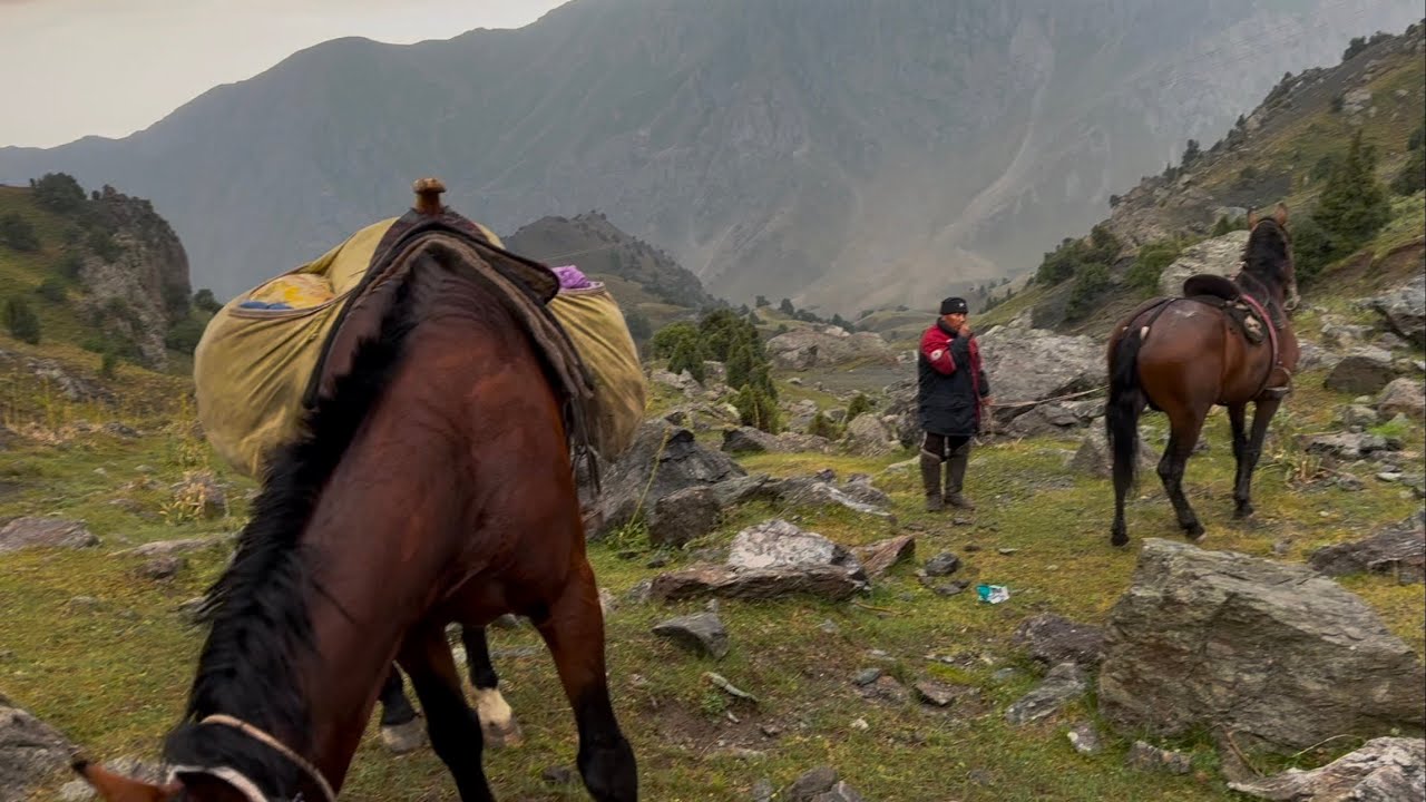 Сере жайлоосуна Ат менен жонодук 11 июля 2025 г.